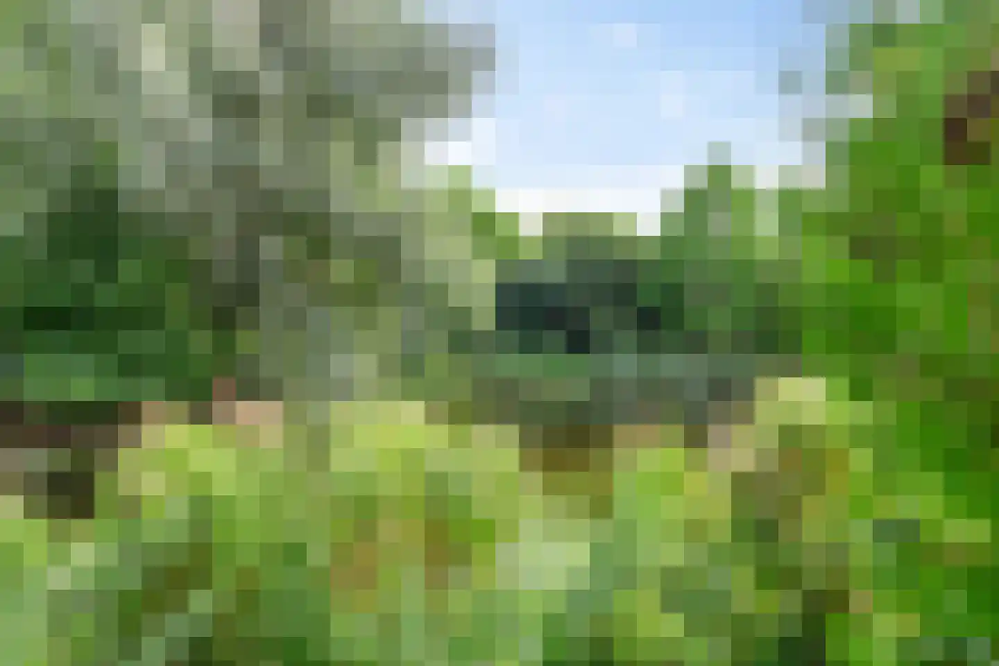 Wimpel 83 Groningen thumbnail 46