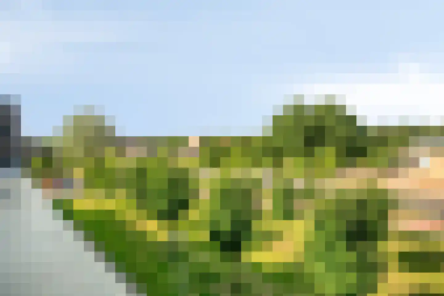 Wimpelplantsoen 105 Almere thumbnail 31