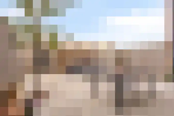 Wimpelplantsoen 123 Almere thumbnail 18