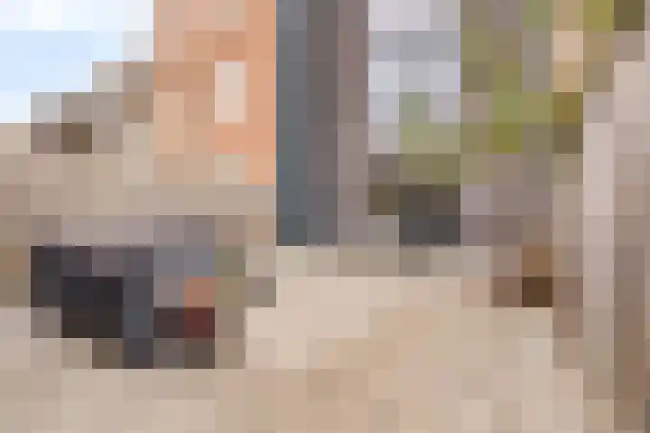 Wimpelplantsoen 123 Almere thumbnail 19