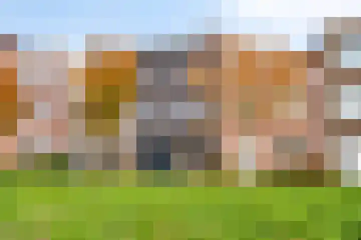 Wimpelplantsoen 123 Almere thumbnail 7
