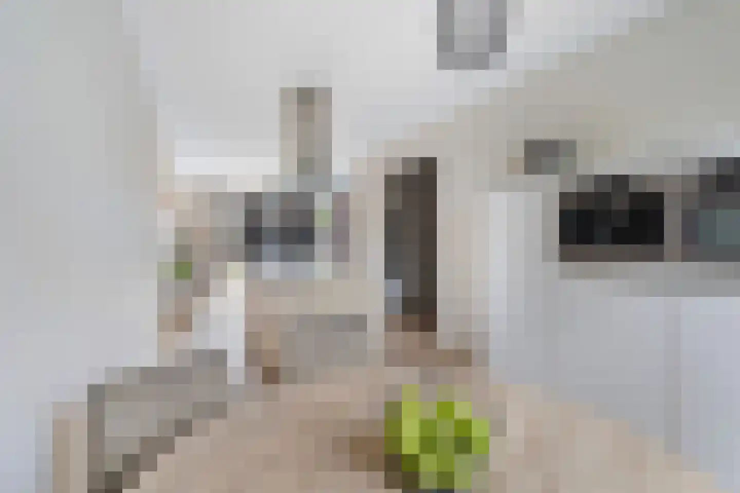 Wimpelplantsoen 124 Almere thumbnail 13