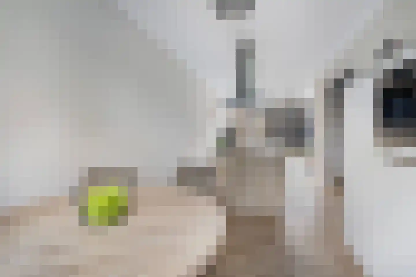 Wimpelplantsoen 124 Almere thumbnail 69