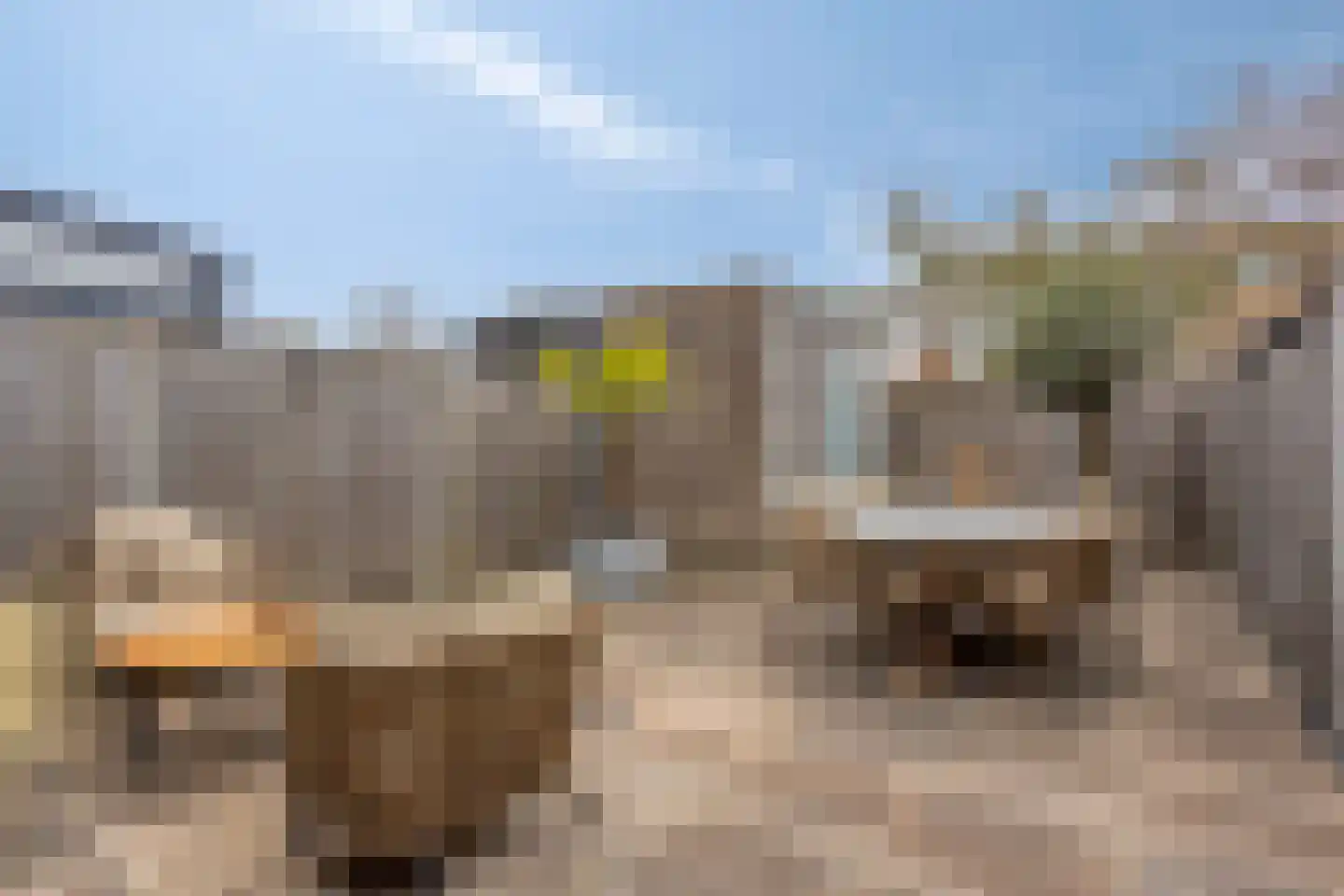 Wimpelplantsoen 203 Almere thumbnail 21