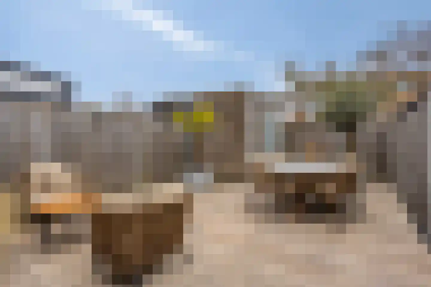 Wimpelplantsoen 203 Almere thumbnail 21