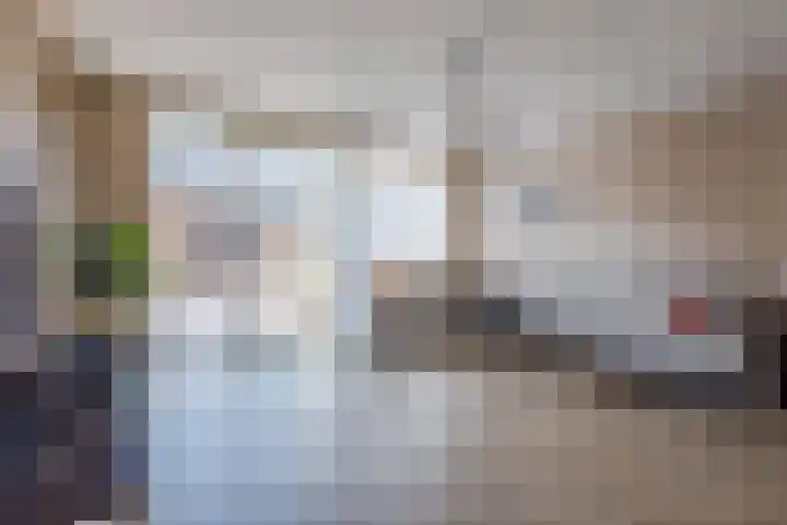 Wimpelplantsoen 227 Almere thumbnail 10