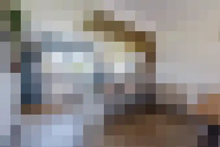 Wimpelplantsoen 227 Almere thumbnail 13