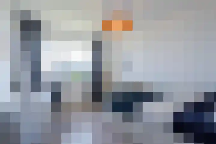 Wimpelplantsoen 227 Almere thumbnail 35