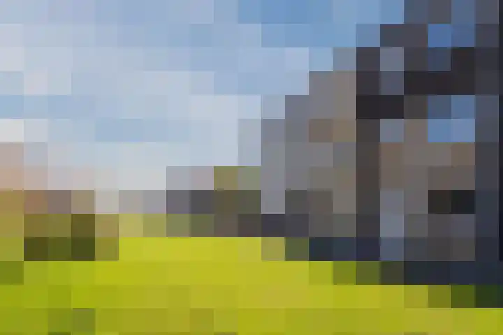 Wimpelplantsoen 227 Almere thumbnail 5