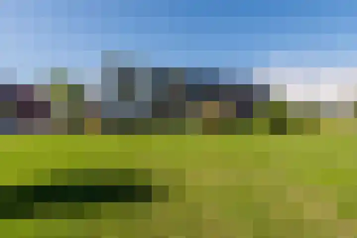 Wimpelplantsoen 227 Almere thumbnail 56
