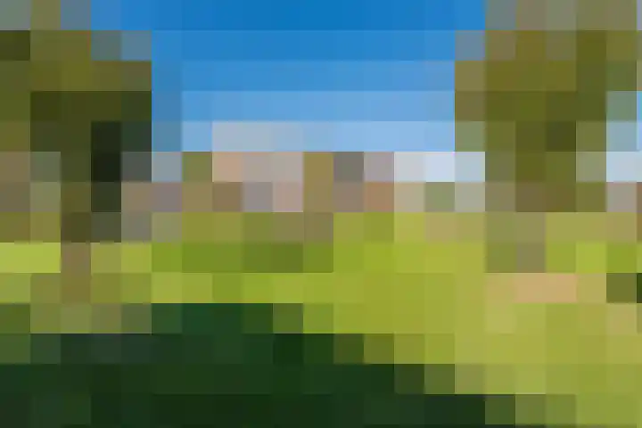Wimpelplantsoen 227 Almere thumbnail 57
