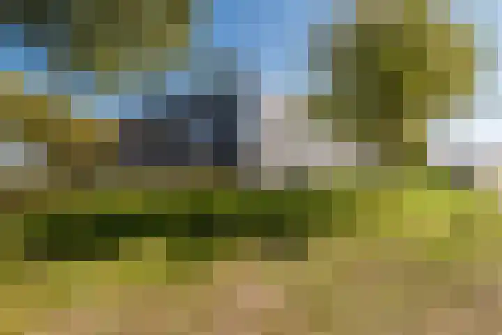 Wimpelplantsoen 227 Almere thumbnail 58