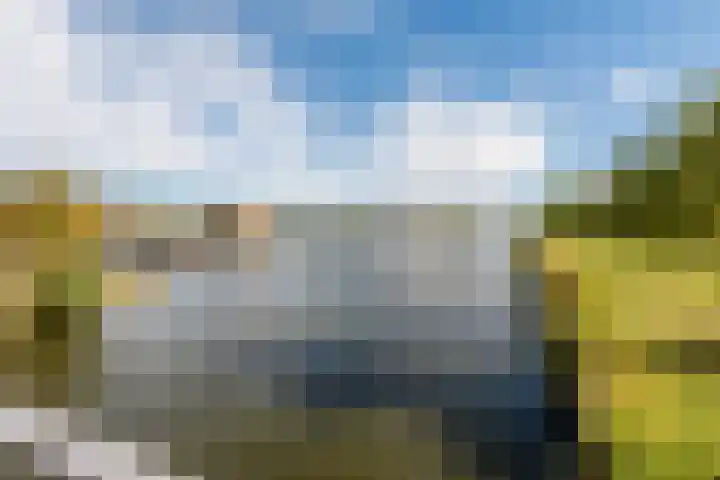 Wimpelplantsoen 227 Almere thumbnail 60