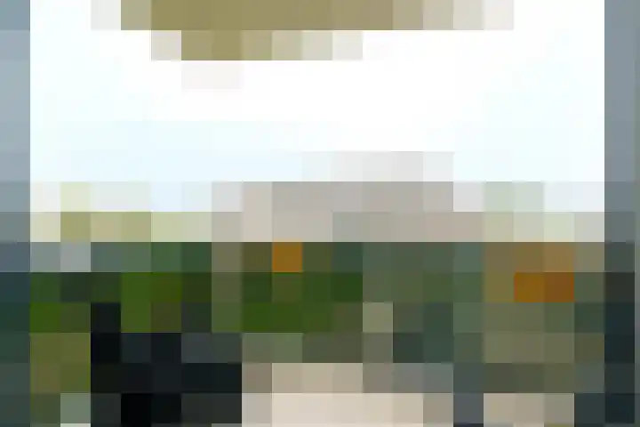Wimpelplantsoen 355 Almere thumbnail 20