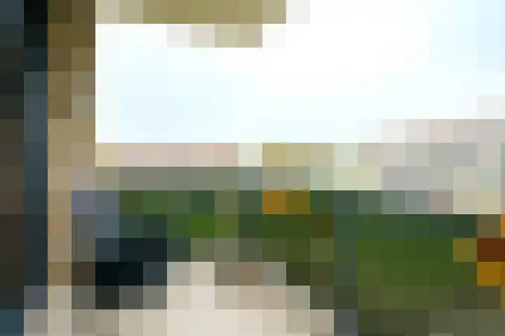 Wimpelplantsoen 355 Almere thumbnail 21