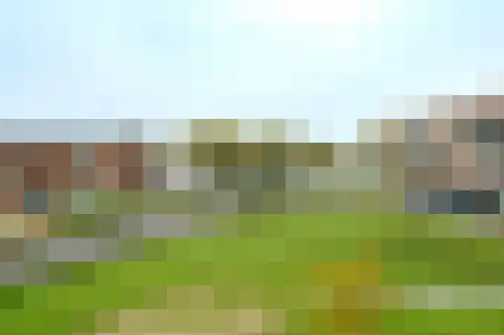 Wimpelplantsoen 355 Almere thumbnail 23