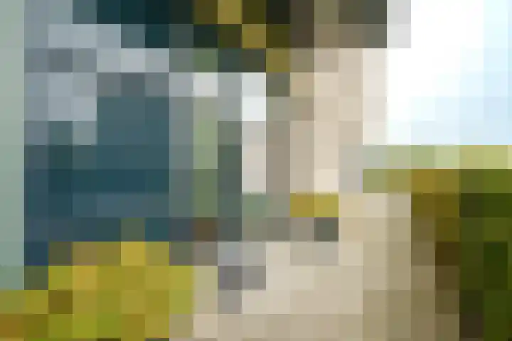 Wimpelplantsoen 355 Almere thumbnail 29