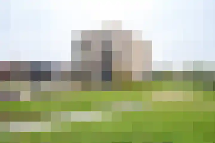 Wimpelplantsoen 355 Almere thumbnail 30
