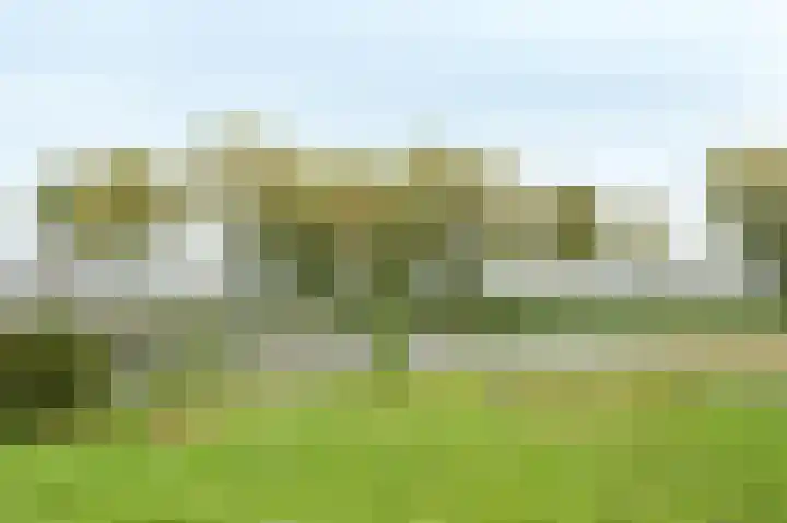 Wimpelplantsoen 355 Almere thumbnail 35