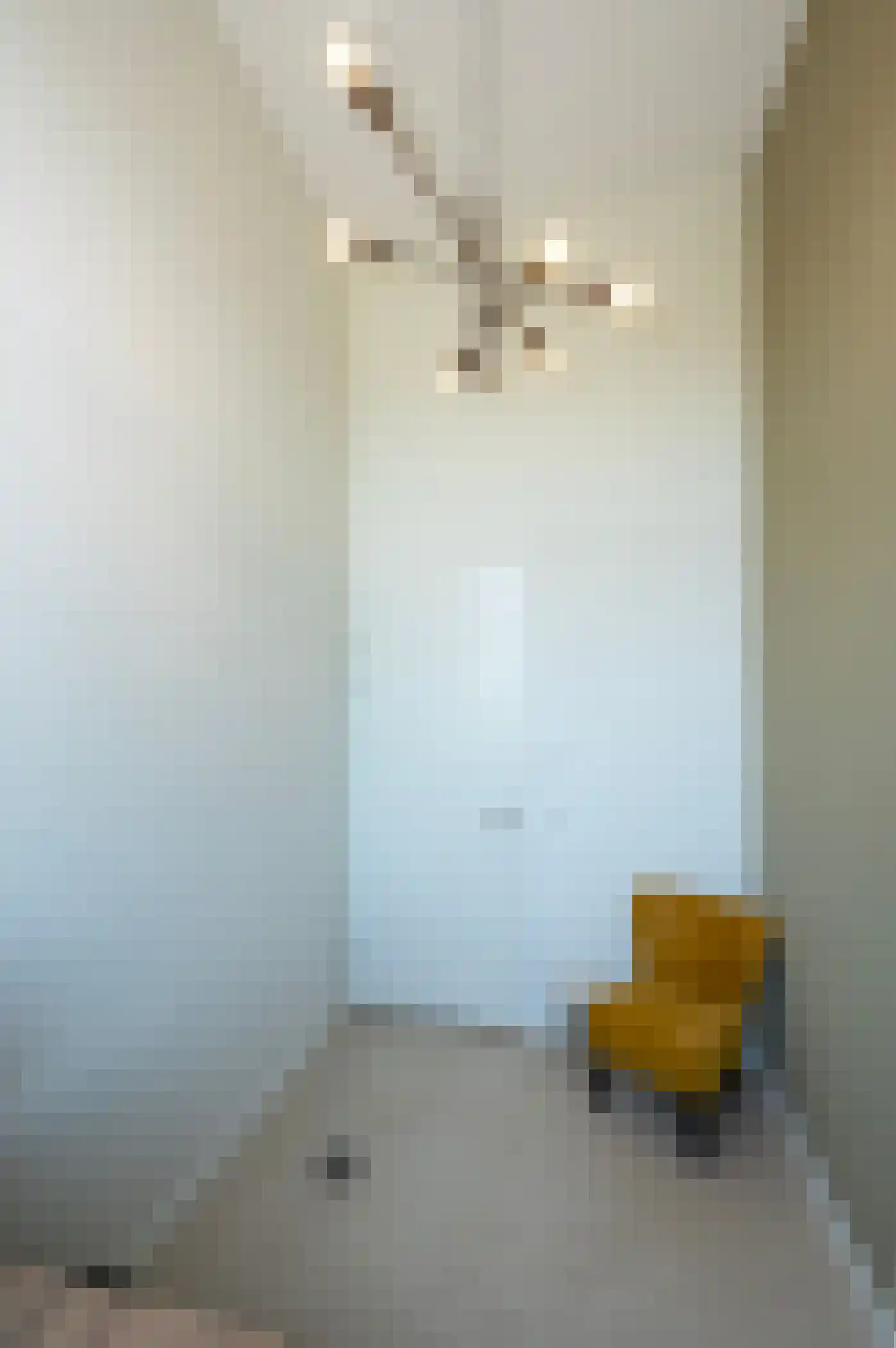 Wimpelplantsoen 416 Almere thumbnail 19