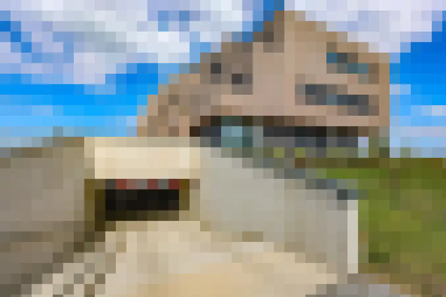 Wimpelplantsoen 439 Almere thumbnail 31