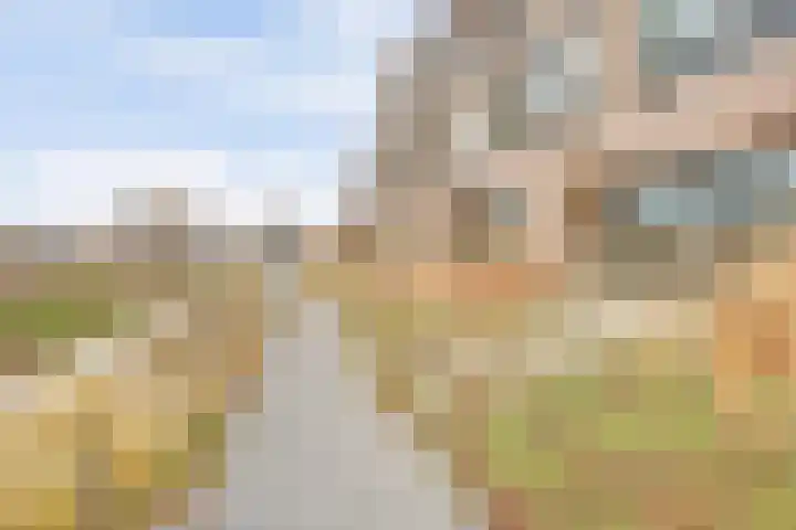 Wimpelplantsoen 446 Almere thumbnail 36