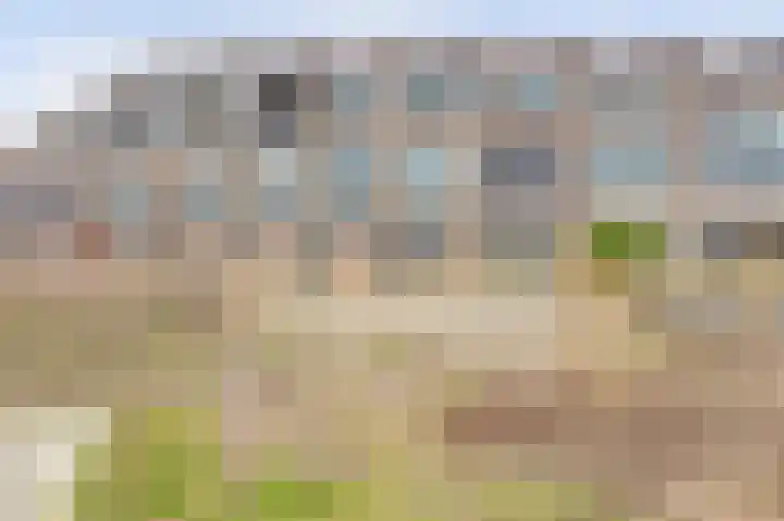 Wimpelplantsoen 446 Almere thumbnail 37