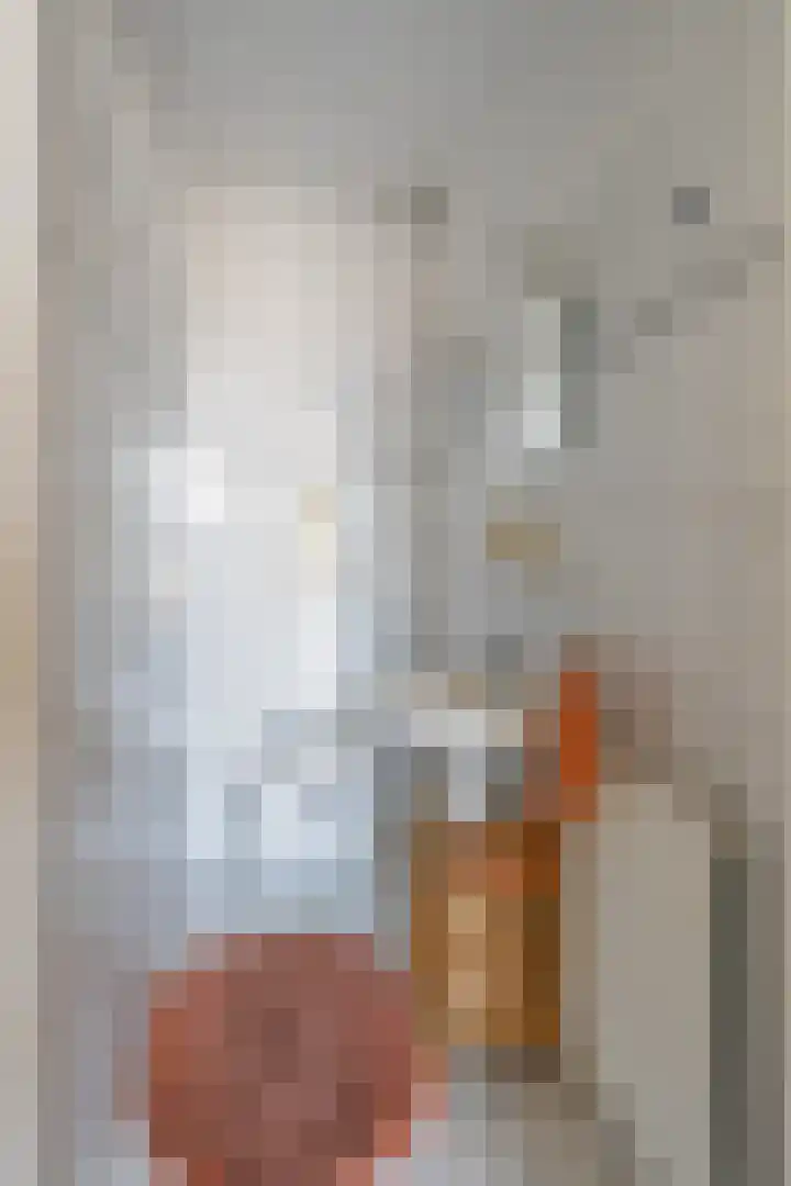 Winandusstraat 1 Elsloo thumbnail 12
