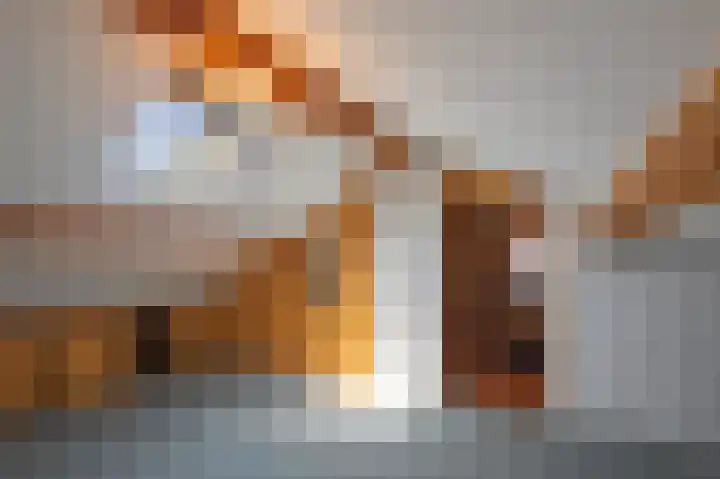 Winandusstraat 1 Elsloo thumbnail 16