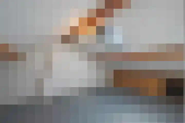 Winandusstraat 1 Elsloo thumbnail 17