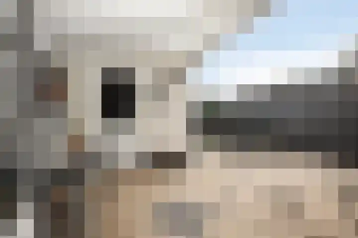 Winandusstraat 26 Elsloo thumbnail 19