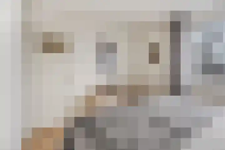 Winandusstraat 26 Elsloo thumbnail 26