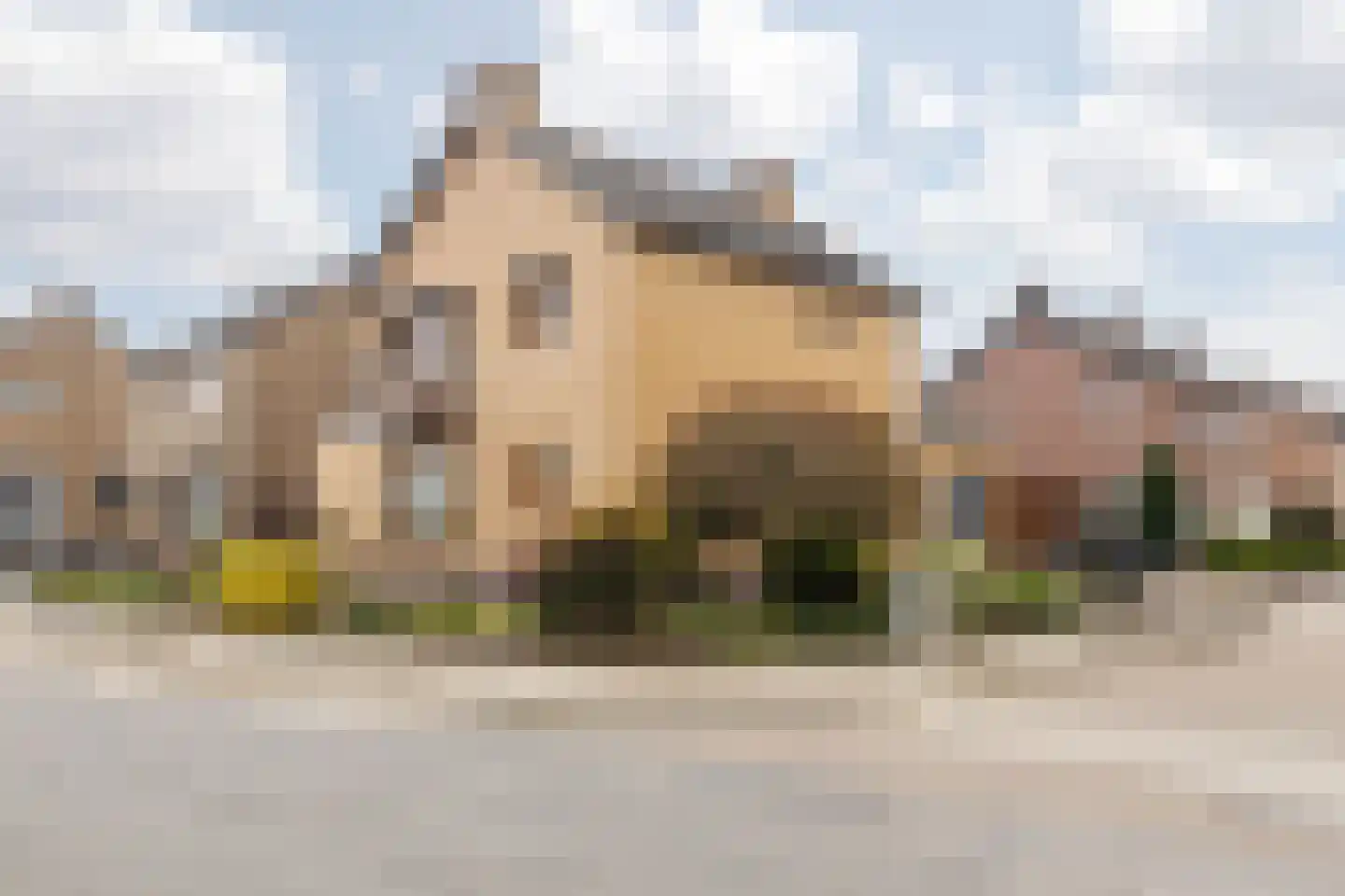 Winandusstraat 36 Elsloo thumbnail 10