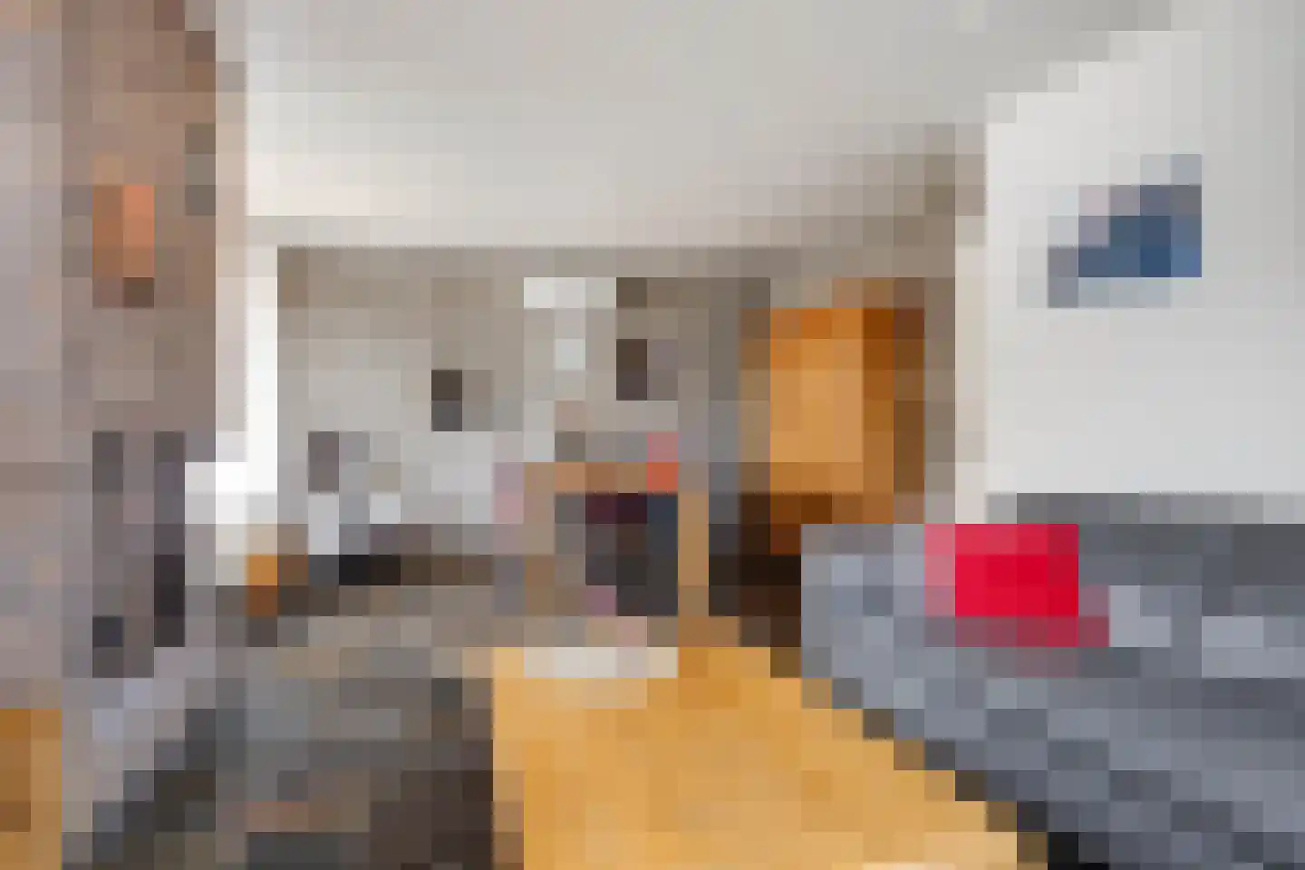 Winandusstraat 36 Elsloo thumbnail 17