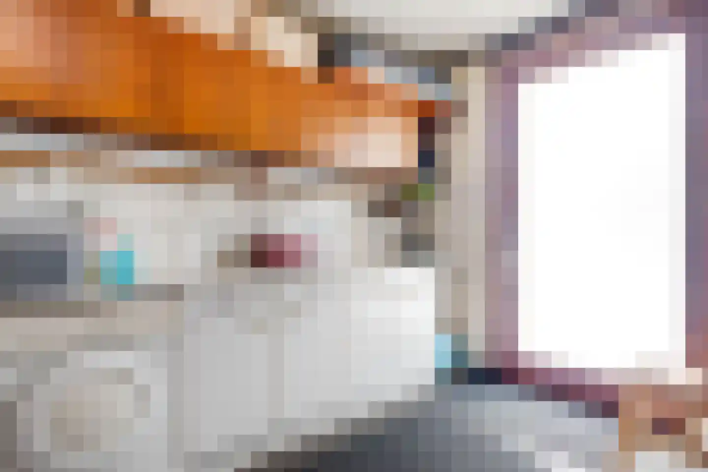 Winandusstraat 36 Elsloo thumbnail 28