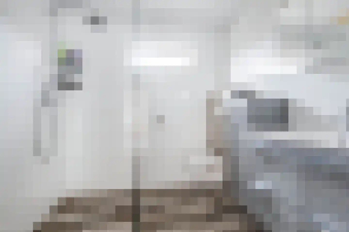 Winandusstraat 36 Elsloo thumbnail 33
