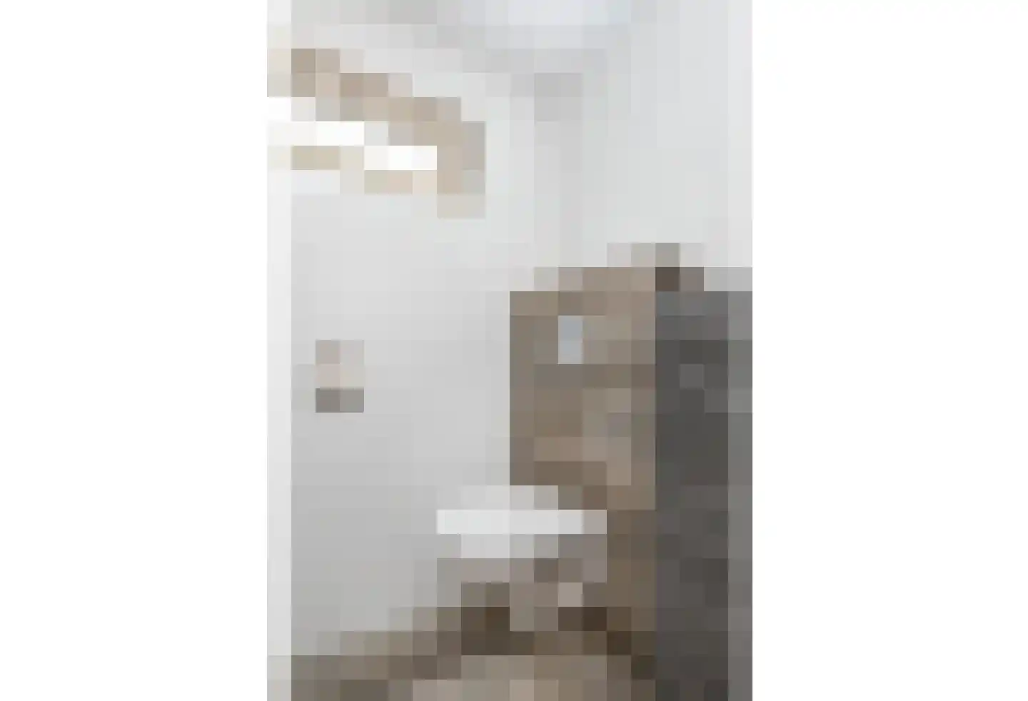 Winandusstraat 36 Elsloo thumbnail 35