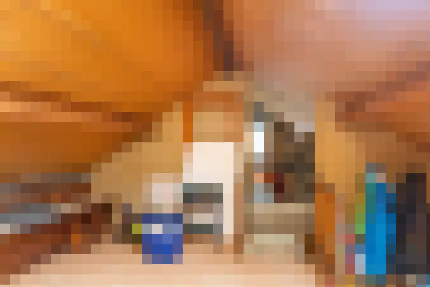 Winandusstraat 36 Elsloo thumbnail 37