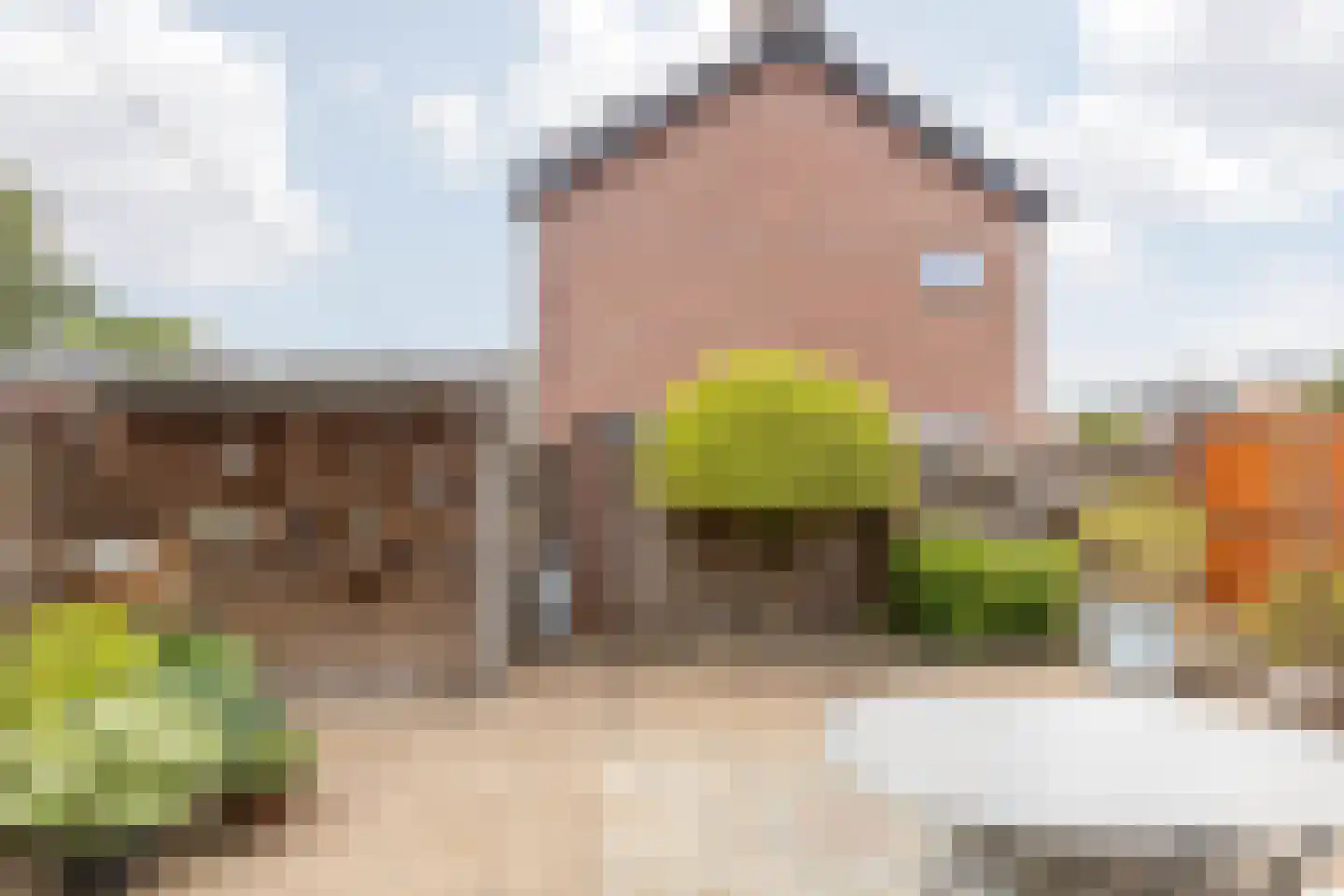 Winandusstraat 36 Elsloo thumbnail 40