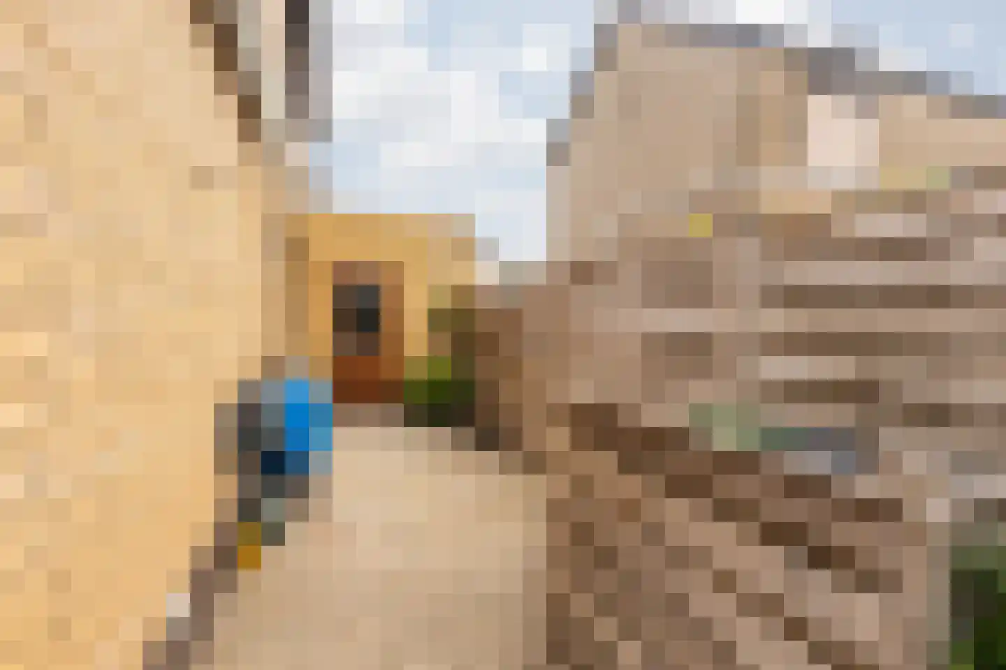 Winandusstraat 36 Elsloo thumbnail 43