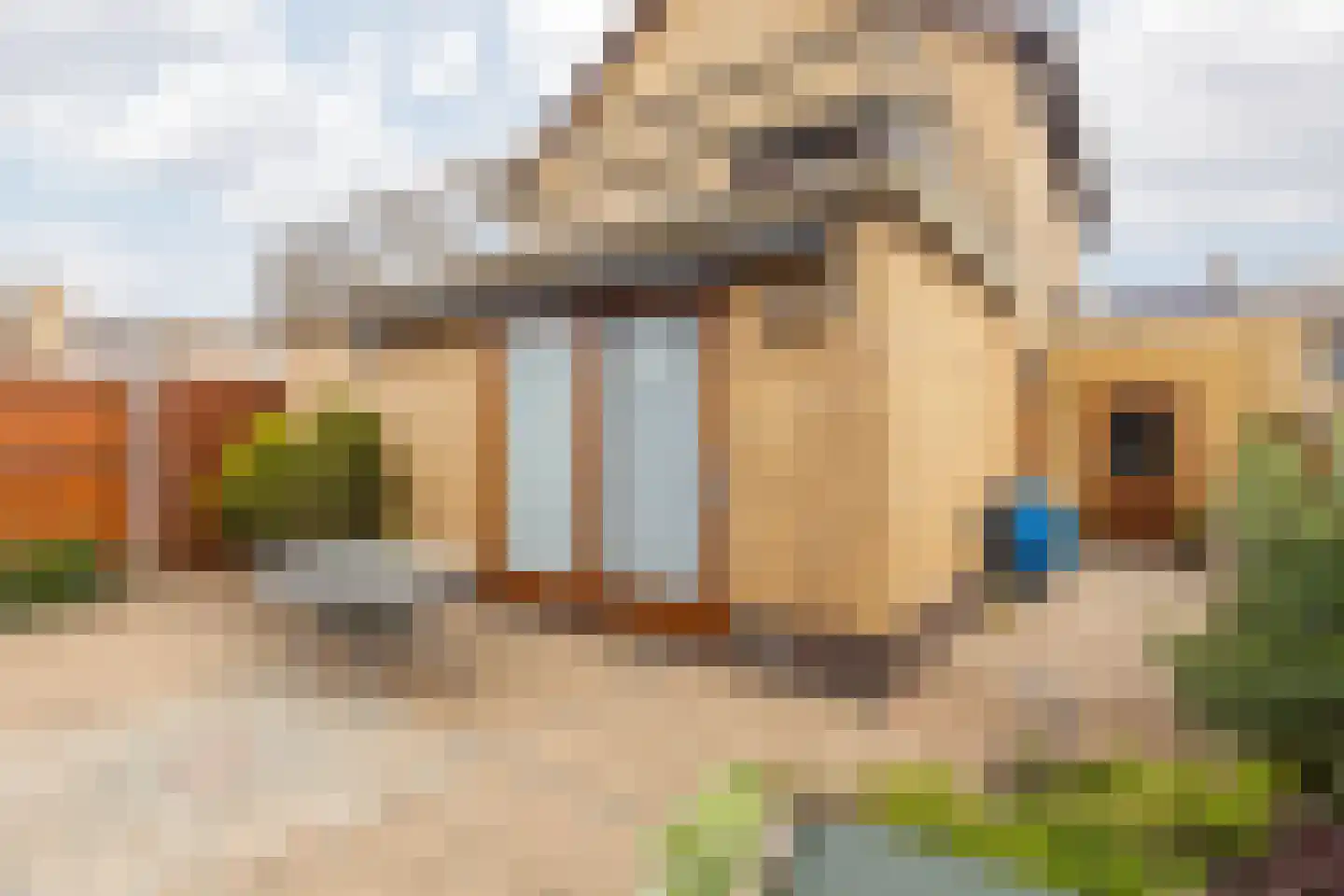 Winandusstraat 36 Elsloo thumbnail 45