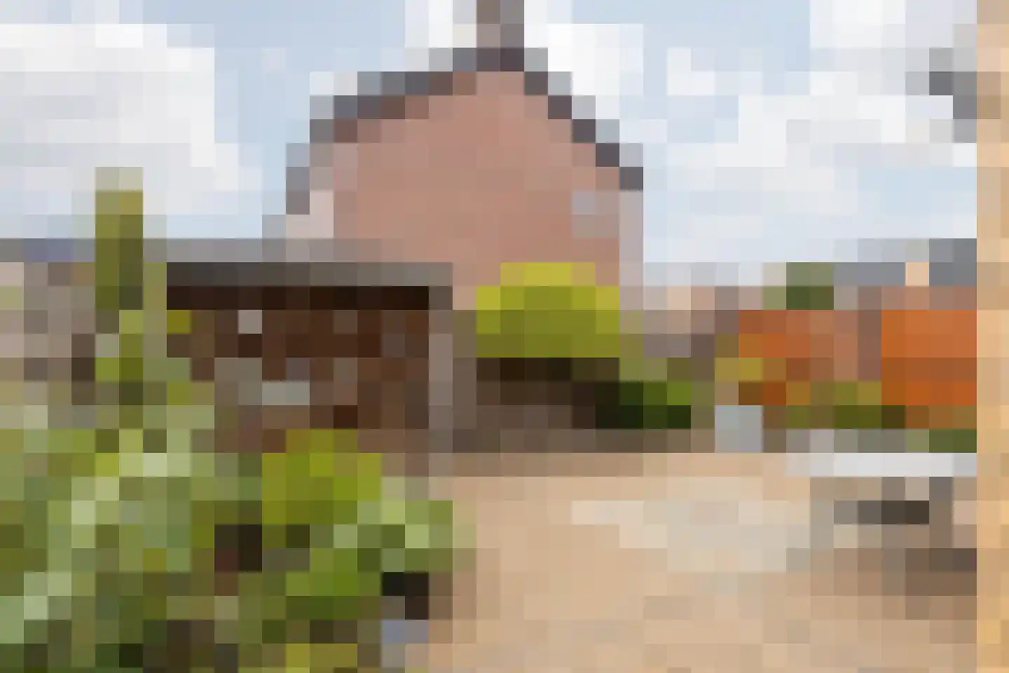 Winandusstraat 36 Elsloo thumbnail 46