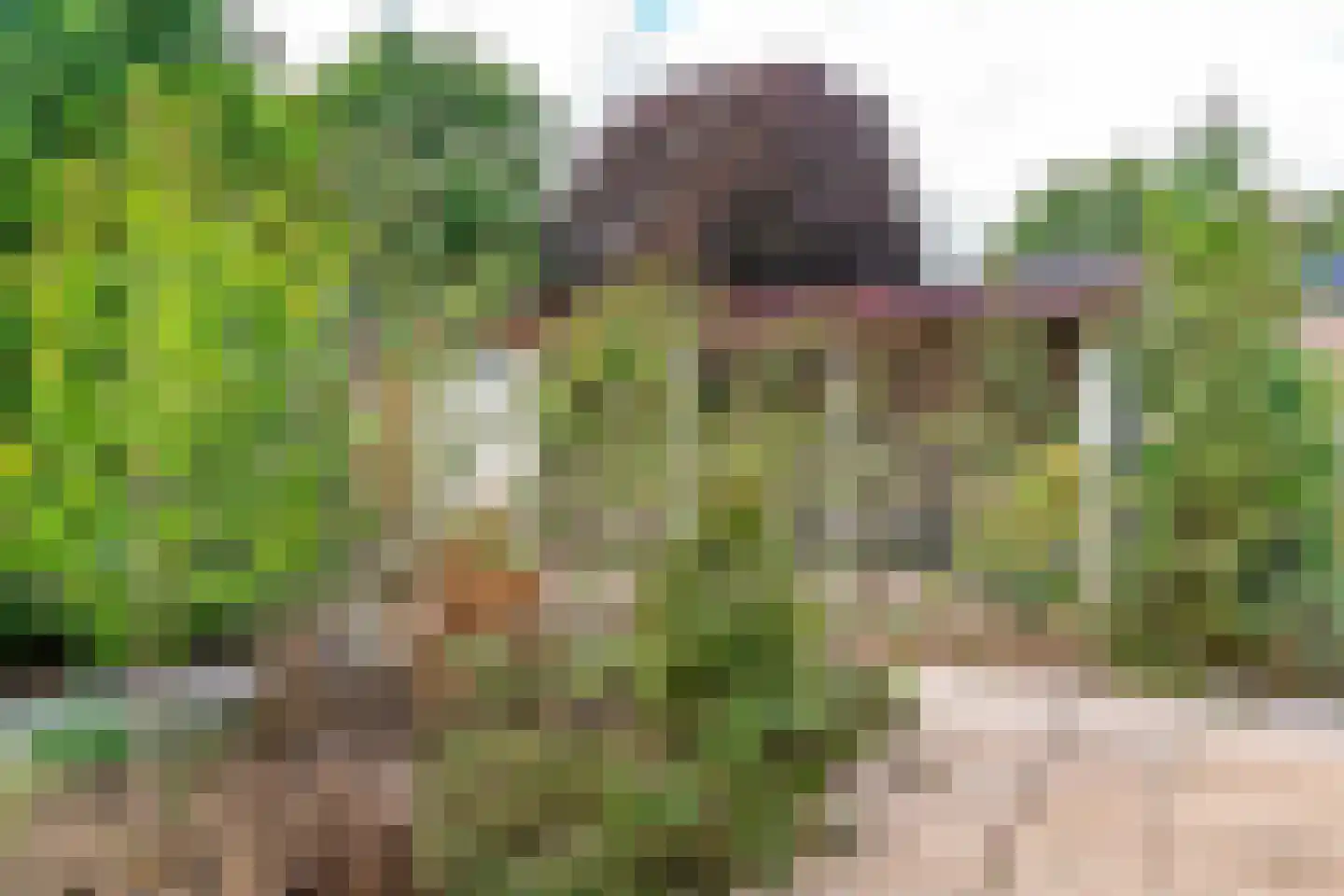 Winandusstraat 5 Elsloo thumbnail 29