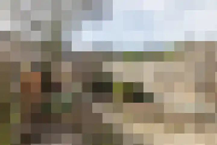 Winckelgaard 6 Maastricht thumbnail 30