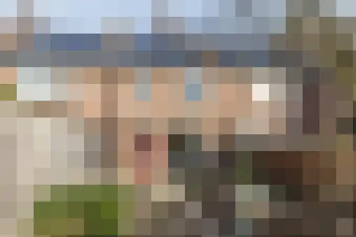 Winckelgaard 6 Maastricht thumbnail 32
