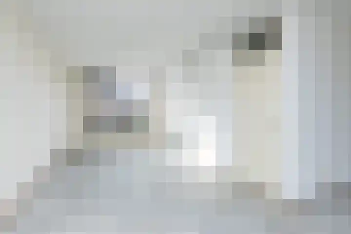 Winckelgaard 6 Maastricht thumbnail 7