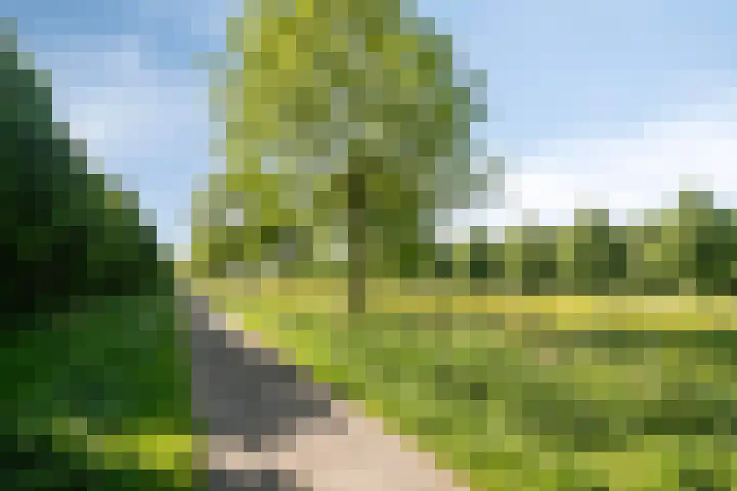 Windbaan 116 Zeewolde thumbnail 41