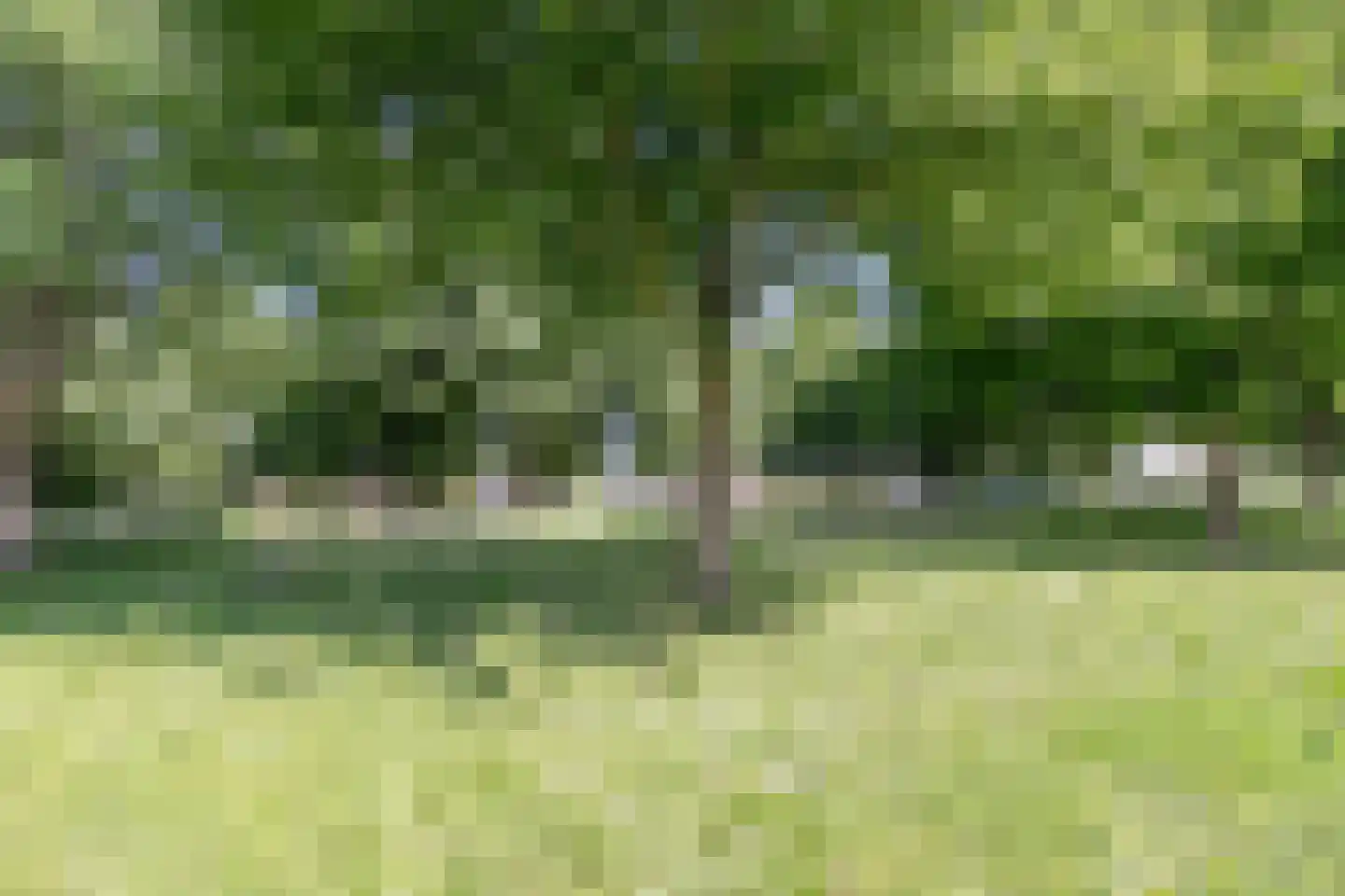 Windbaan 116 Zeewolde thumbnail 42