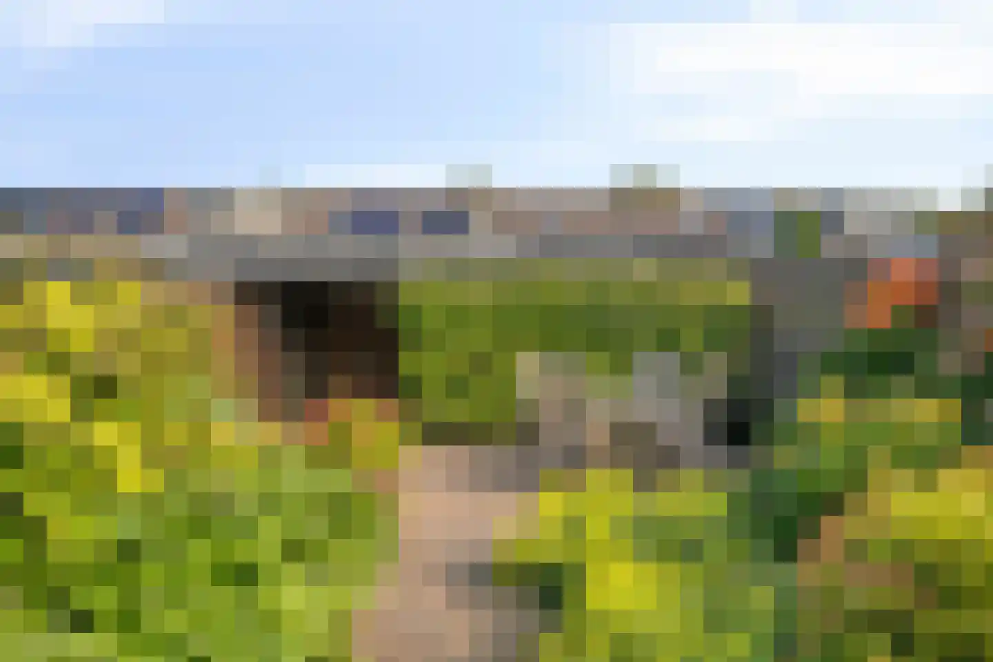 Windbaan 32 Zeewolde thumbnail 37