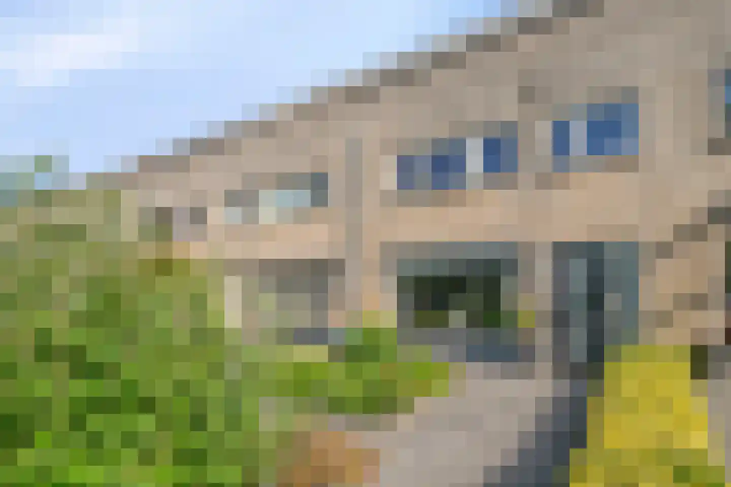 Windbaan 32 Zeewolde thumbnail 43